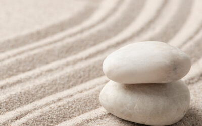 Zen Meditationstag für Beginner – SOBI Münster