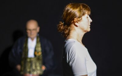 Einweisung in den Eido-Ji ZEN Weg “Das Feld bereiten.” Online Einzelkurs via ZOOM aus dem ZEN-Programm “Der Goldene Löwe”
